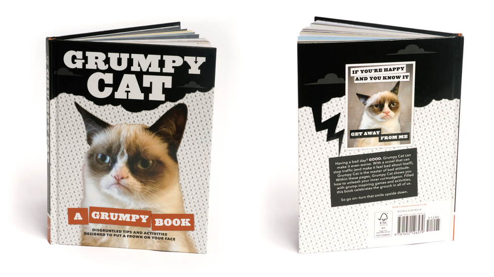 Grumpy Cat: A Grumpy Book - kellyabeln
