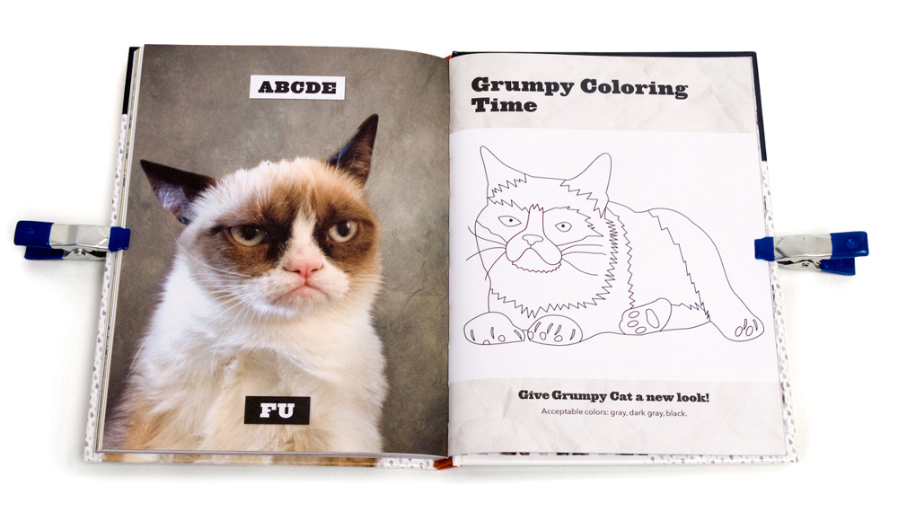 Grumpy Cat: A Grumpy Book - kellyabeln